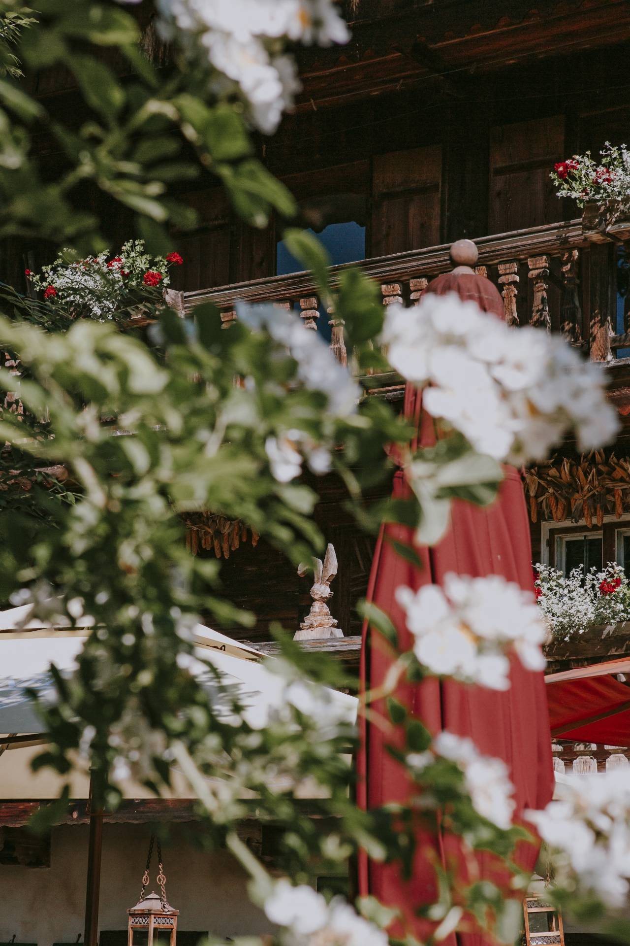 Volleyball_Rasenturnier_Hasenöhrl-Hof_2025011