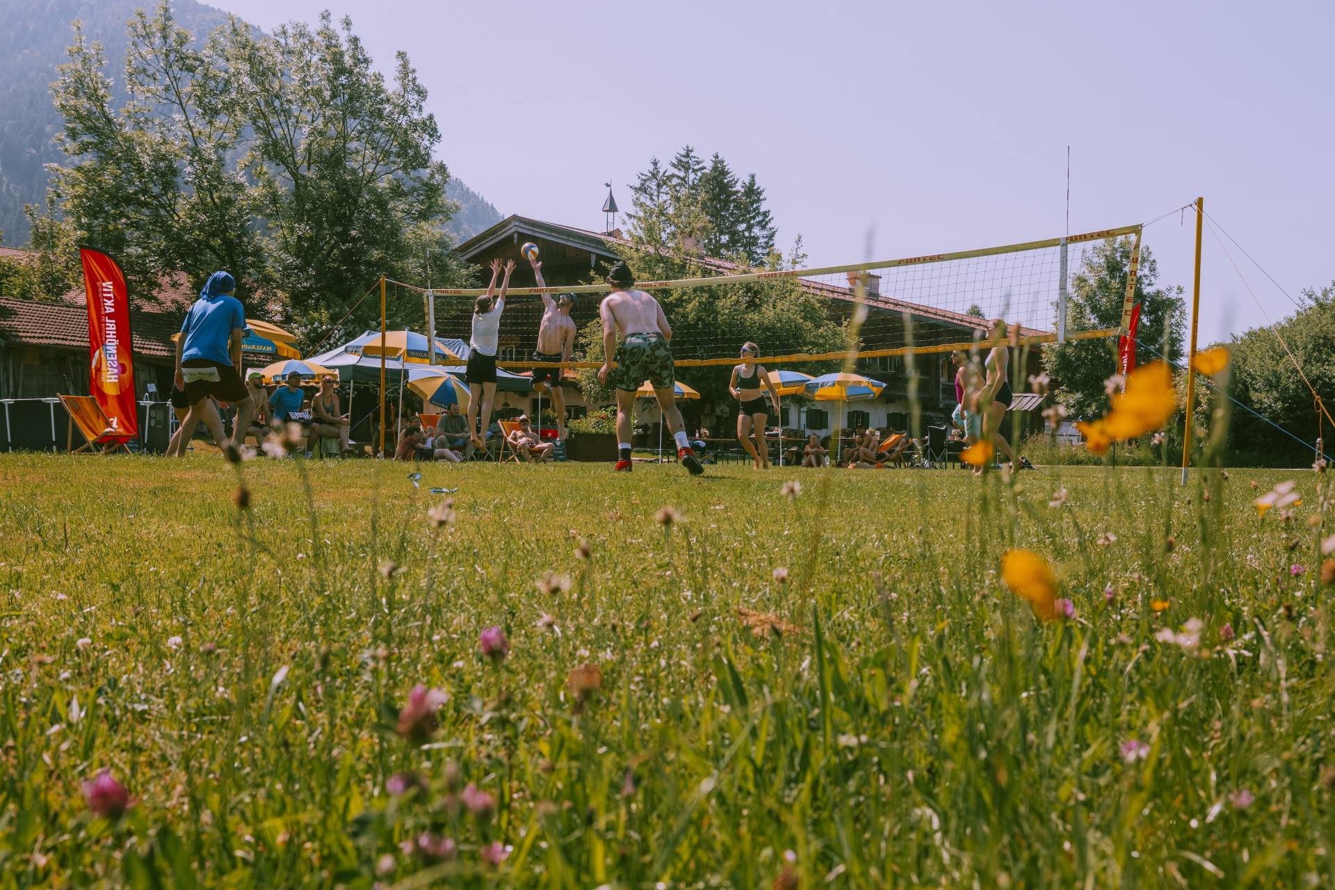 Volleyball_Rasenturnier_Hasenöhrl-Hof_2025070