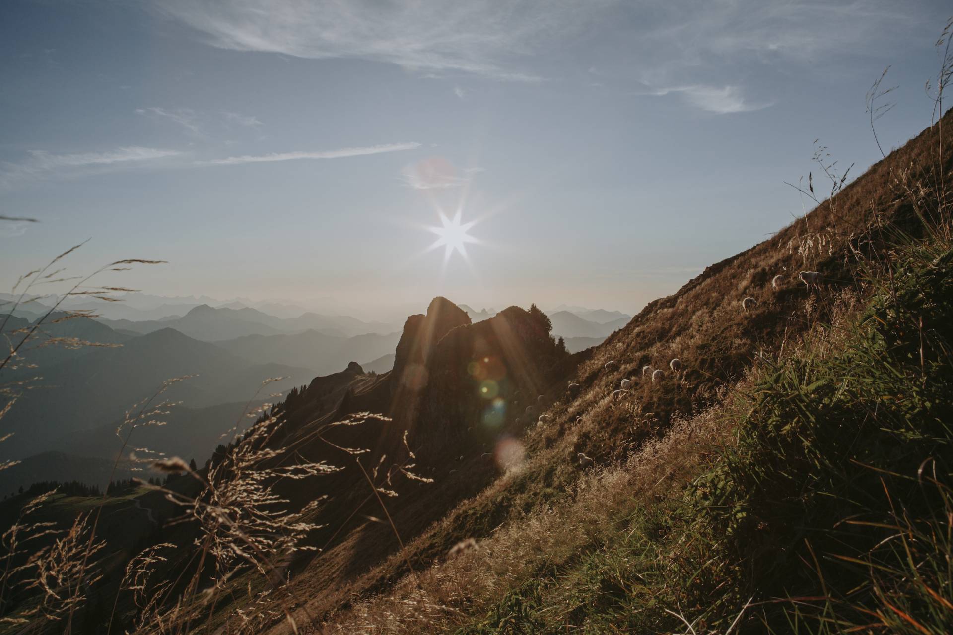 Wanderung in den oberbayerischen Alpen während eines Teamevents